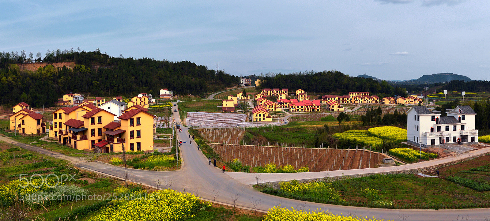 Nikon D600 sample photo. Chinese art of new photography