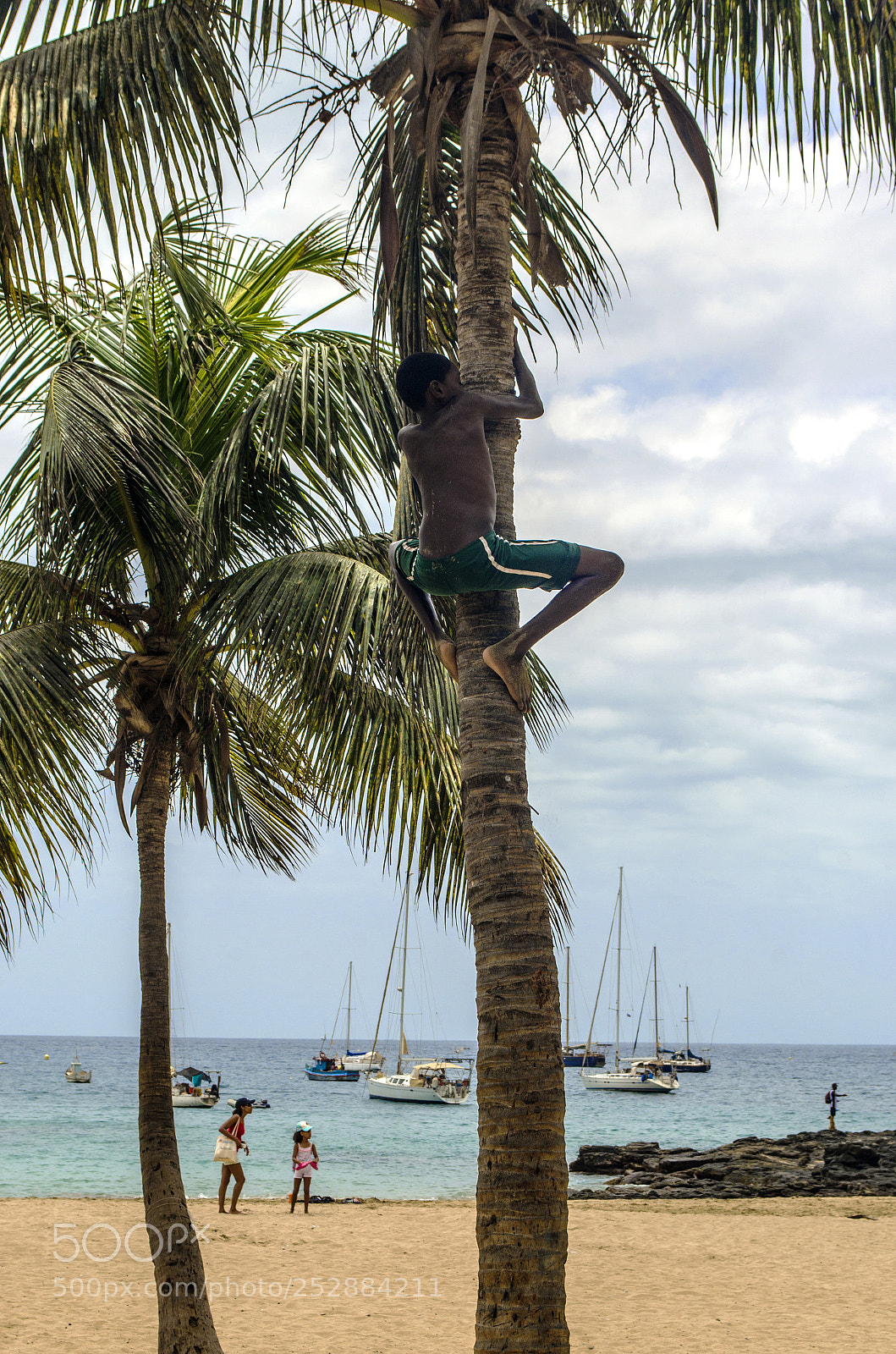 Nikon D5100 sample photo. Getting some coconuts photography