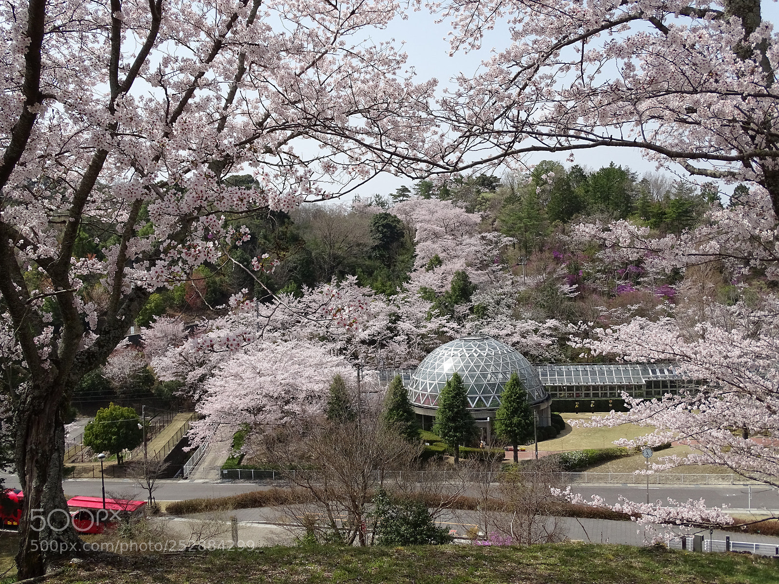Sony Cyber-shot DSC-HX400V sample photo. 春の公園 photography
