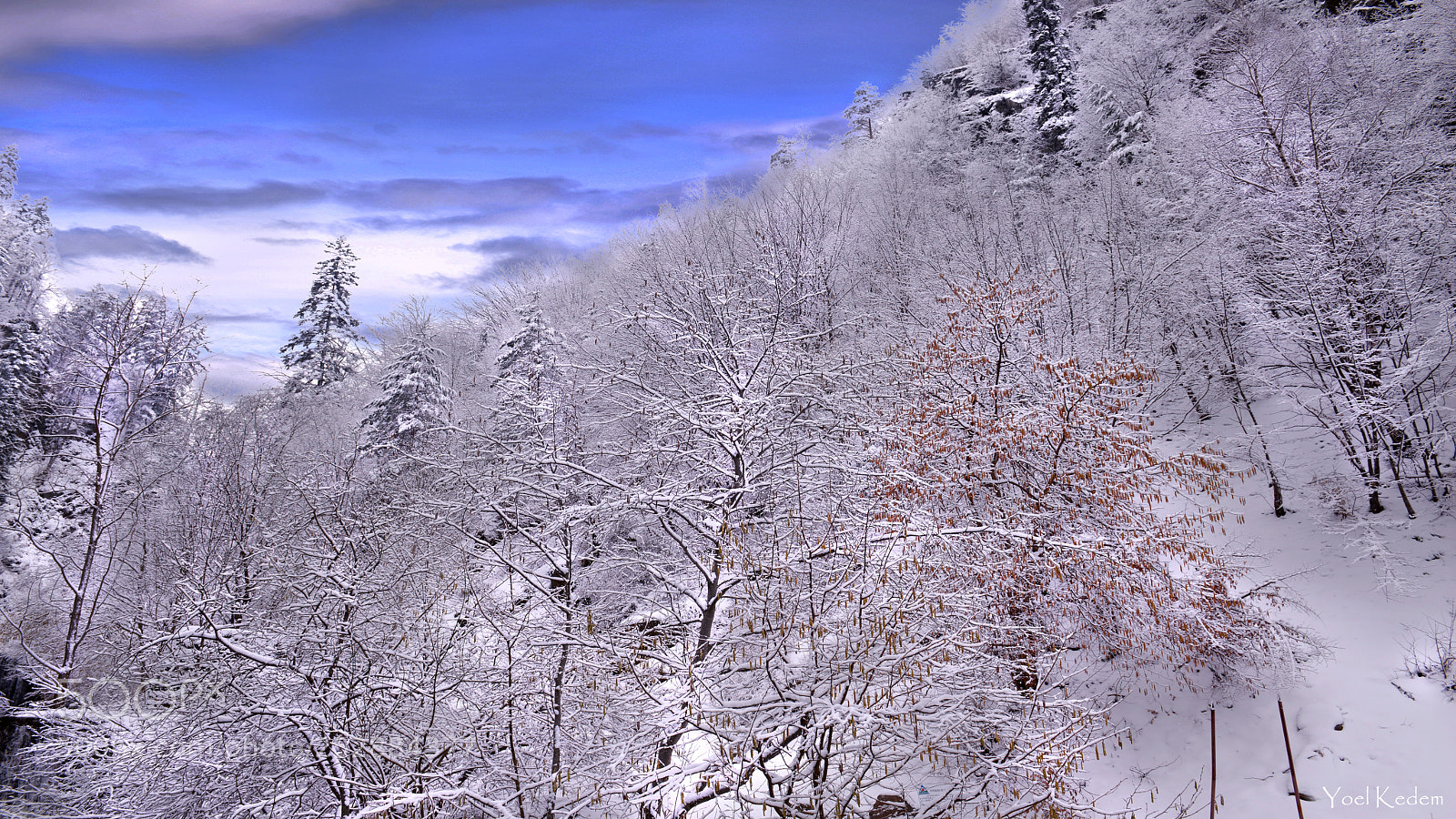 Nikon D800 sample photo. Snow in romania photography
