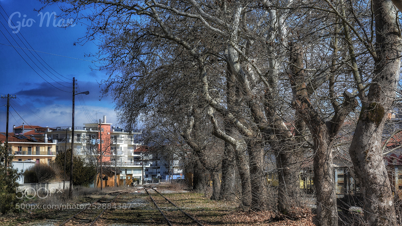 Nikon D5200 sample photo. Rails and trees photography
