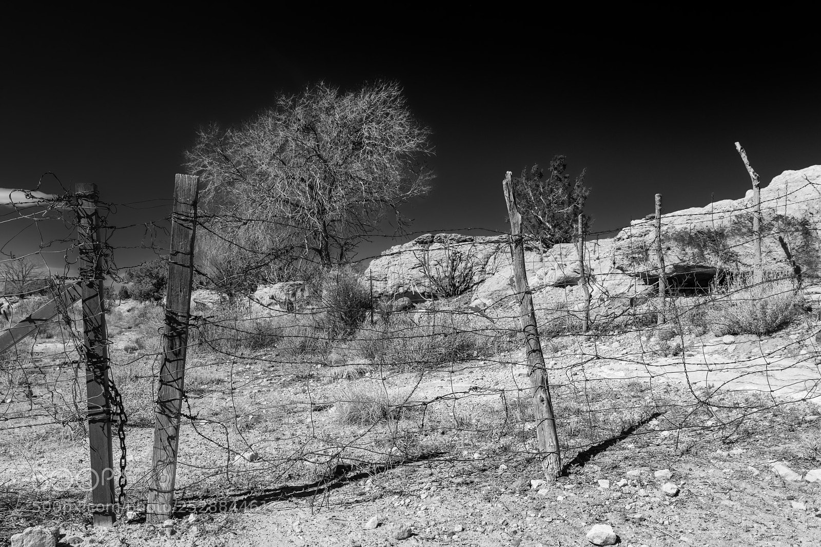 Canon EOS 5D Mark IV sample photo. Rural fence photography