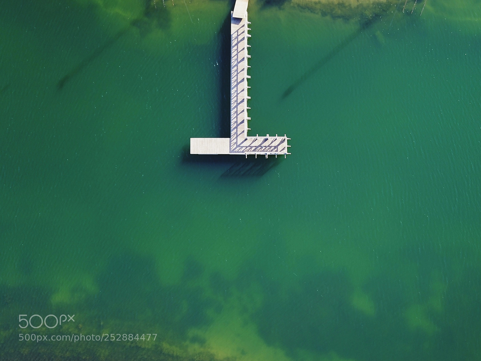 DJI FC220 sample photo. Spring colors photography