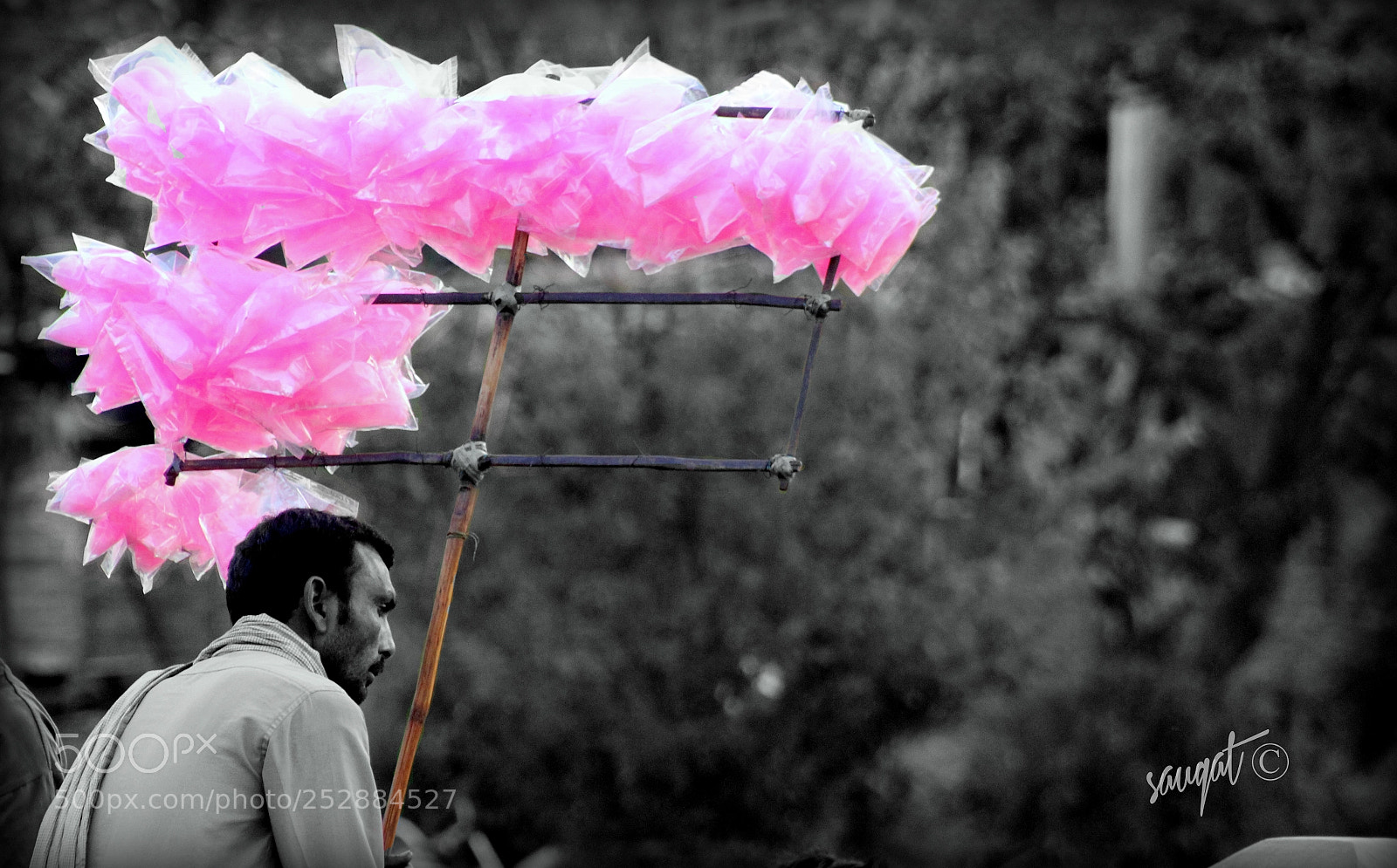 Canon EOS 60D sample photo. Img photography