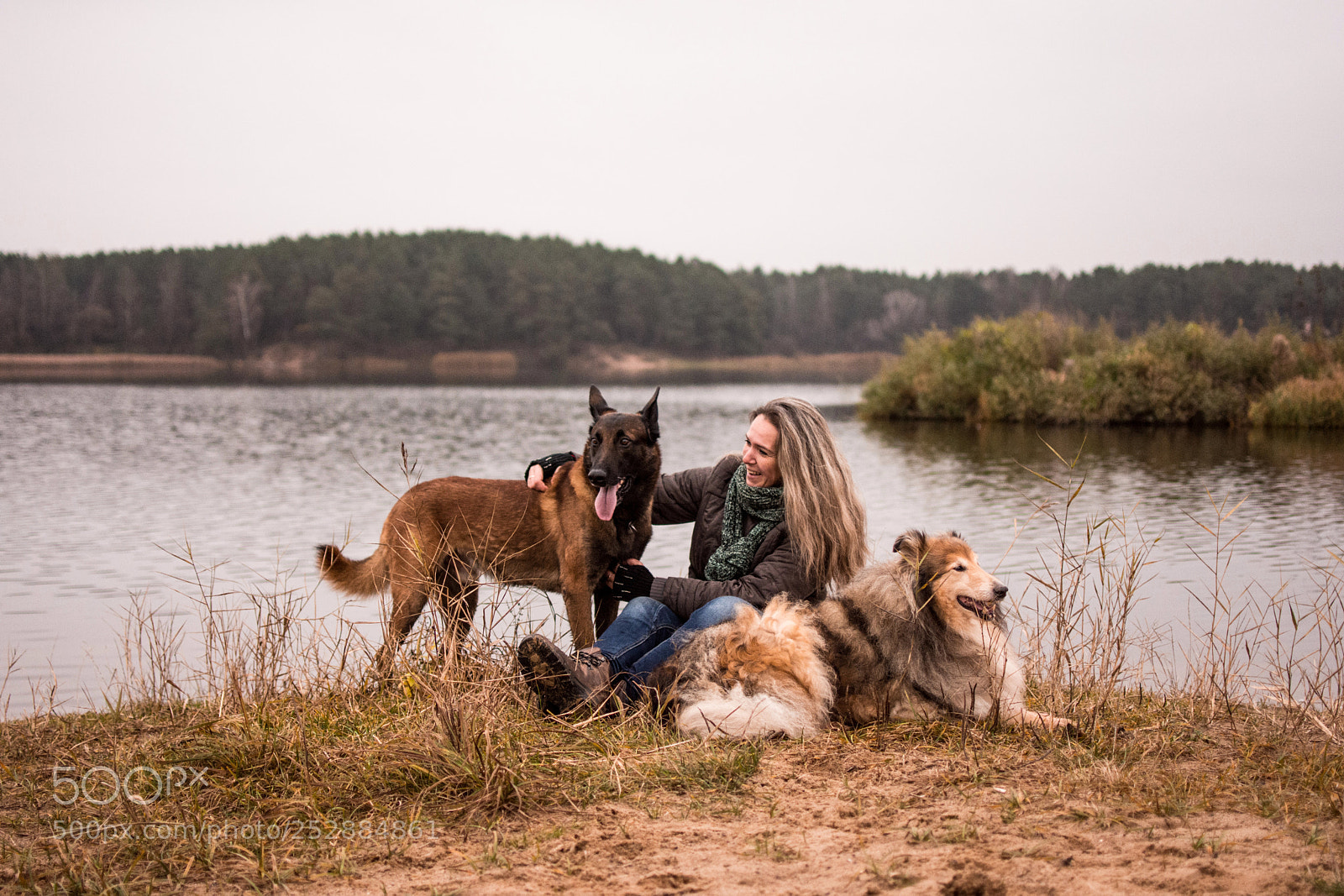 Nikon D7200 sample photo. Walking with dogs photography