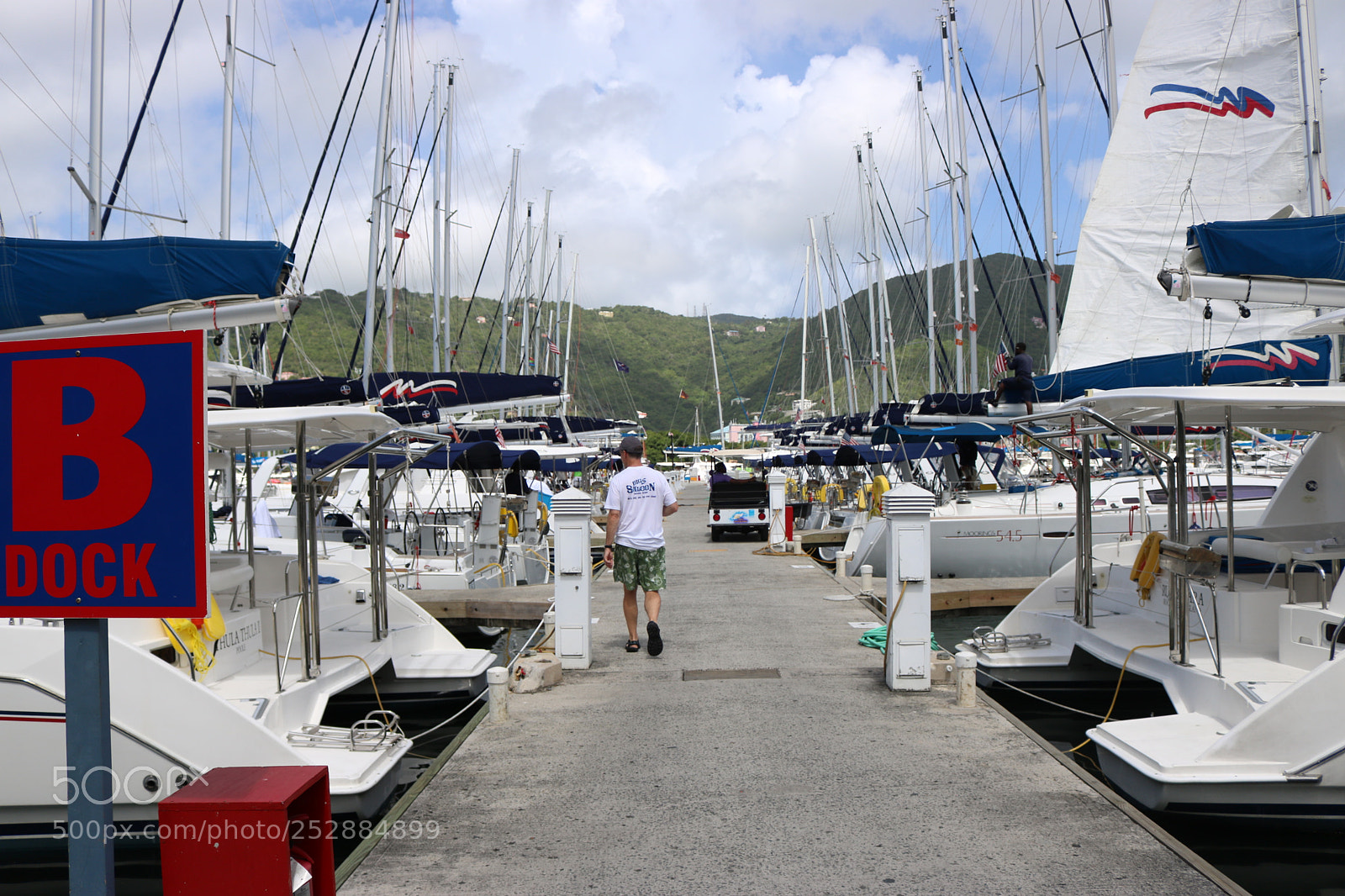 Canon EOS 750D (EOS Rebel T6i / EOS Kiss X8i) sample photo. Img photography