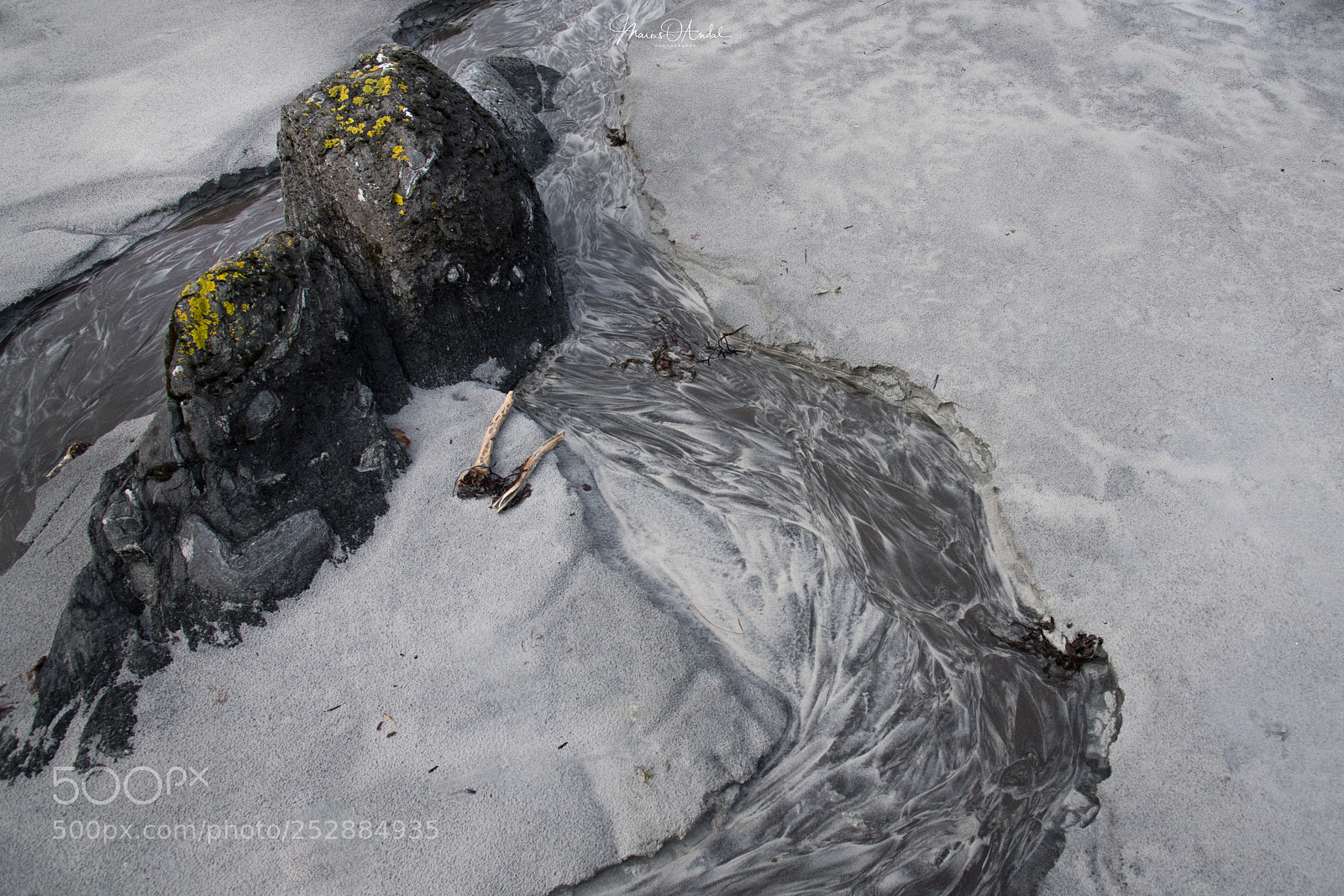 Nikon D850 sample photo. Watermark path photography
