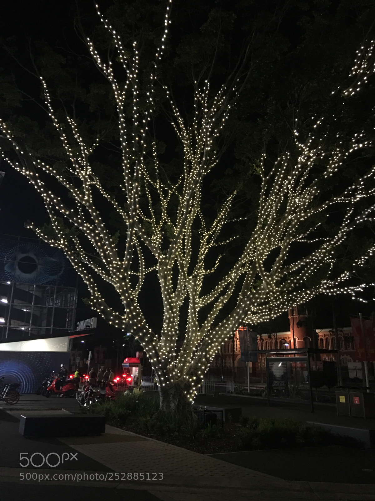 Apple iPhone 6s Plus sample photo. Untitled photography