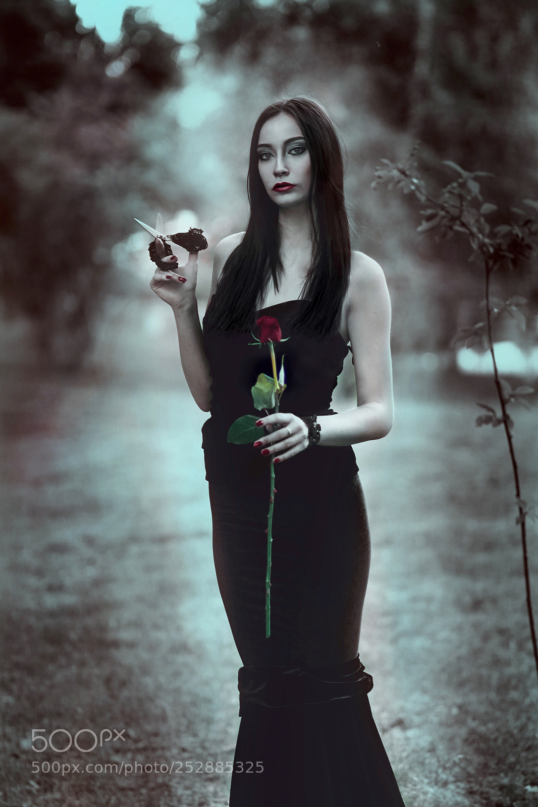Canon EOS 1100D (EOS Rebel T3 / EOS Kiss X50) sample photo. Mortisia addams photography