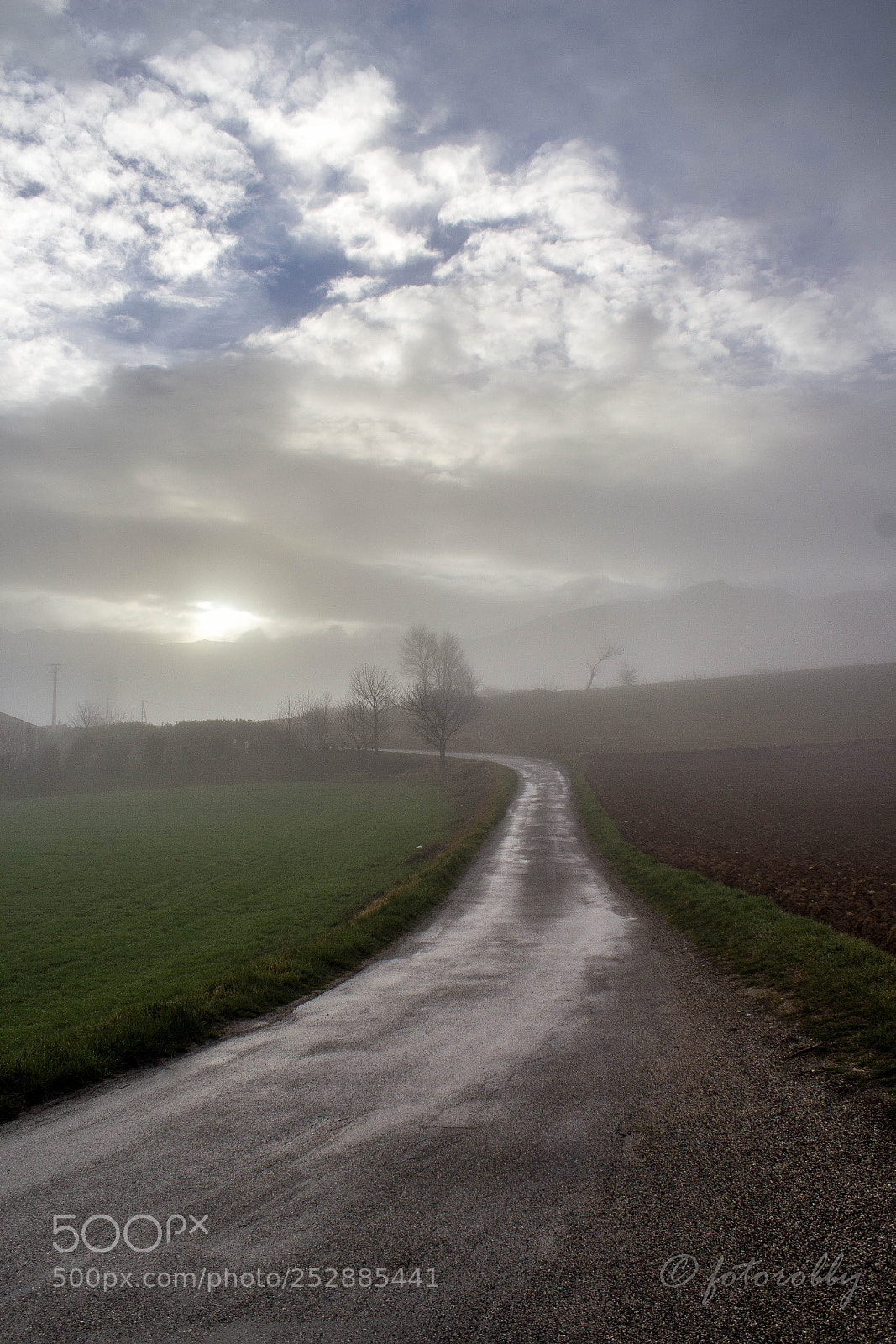 Canon EOS 600D (Rebel EOS T3i / EOS Kiss X5) sample photo. Find your own way photography