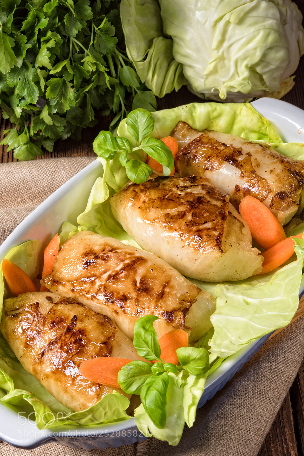 Nikon D810 sample photo. Cabbage rolls with minced photography