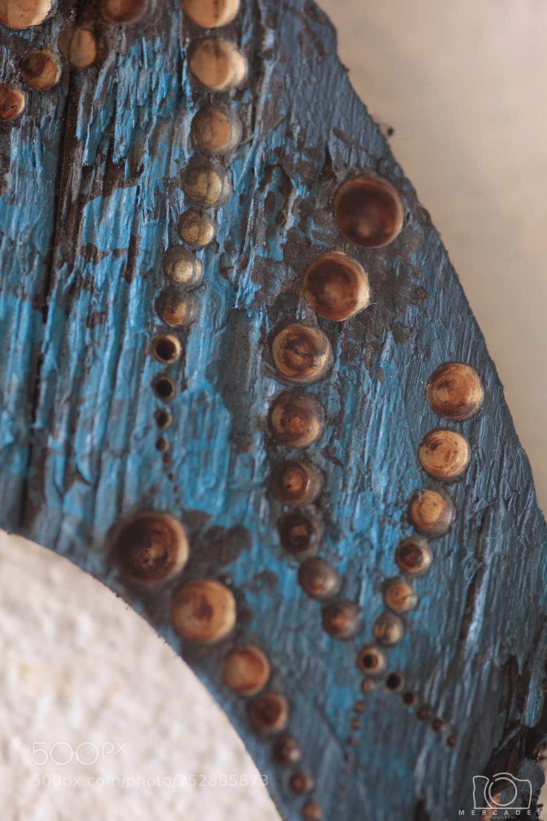 Canon EOS 5D Mark II sample photo. Bale urdina _ ballena azul photography