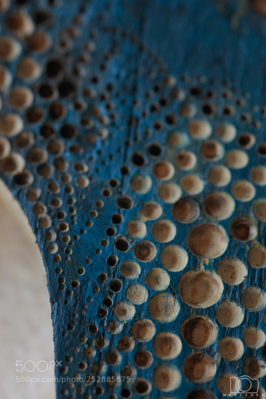 Canon EOS 5D Mark II sample photo. Bale urdina _ ballena azul photography