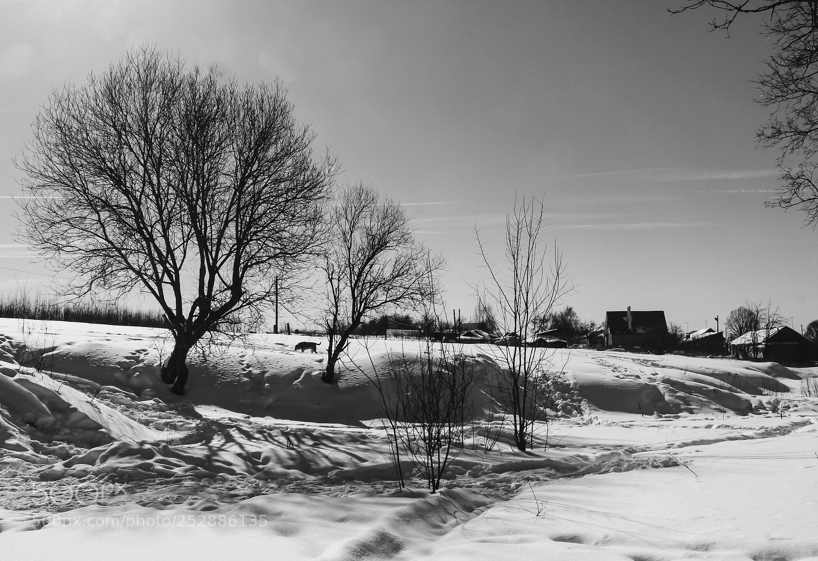 Canon EOS 600D (Rebel EOS T3i / EOS Kiss X5) sample photo. Village landscape  photography