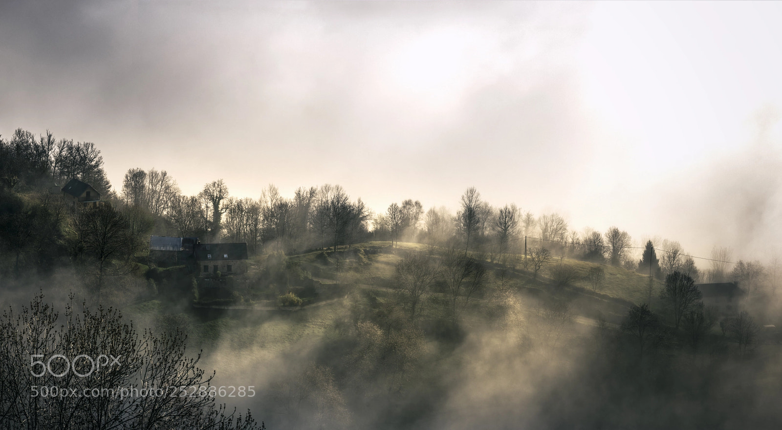 Nikon D7200 sample photo. Misty morning photography