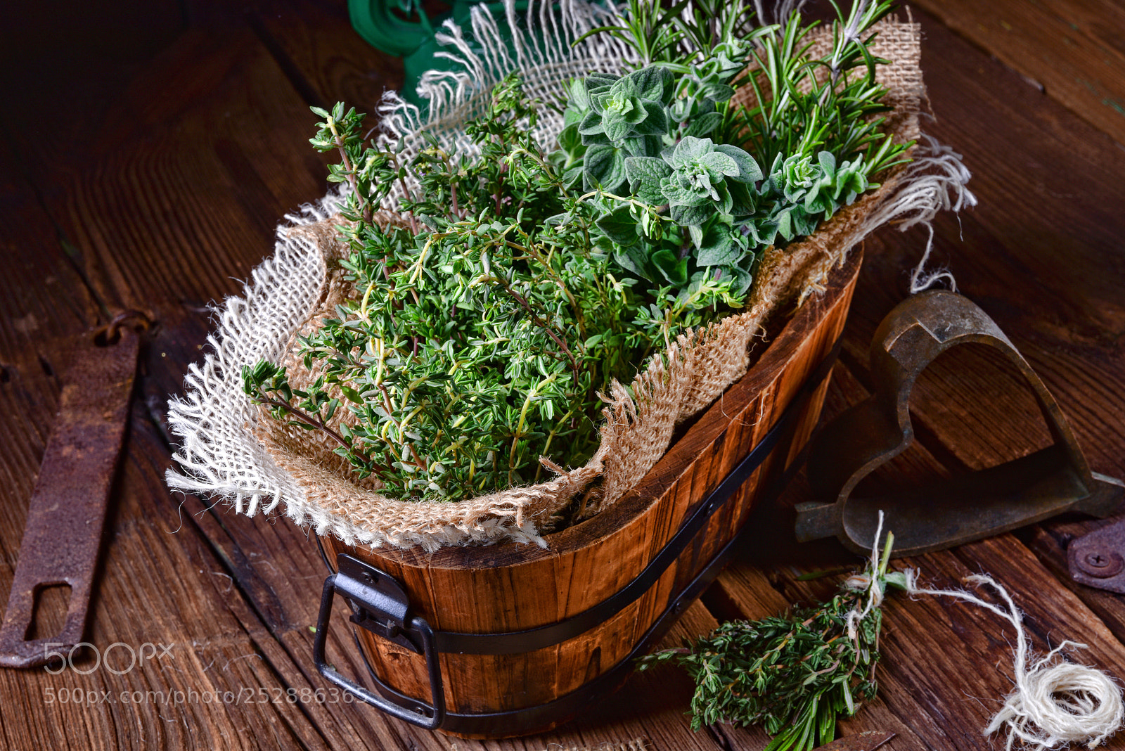 Nikon D810 sample photo. Herbal collection of thyme,oregano photography