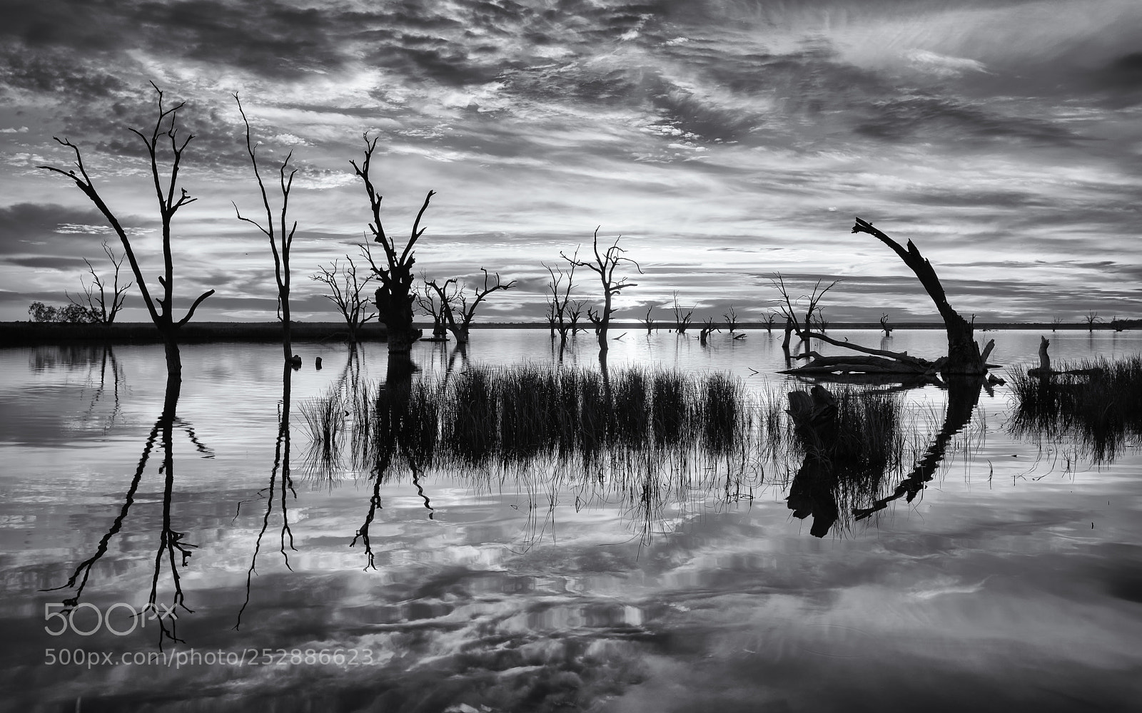Nikon D810 sample photo. Sunrise at lake bonney 2 photography