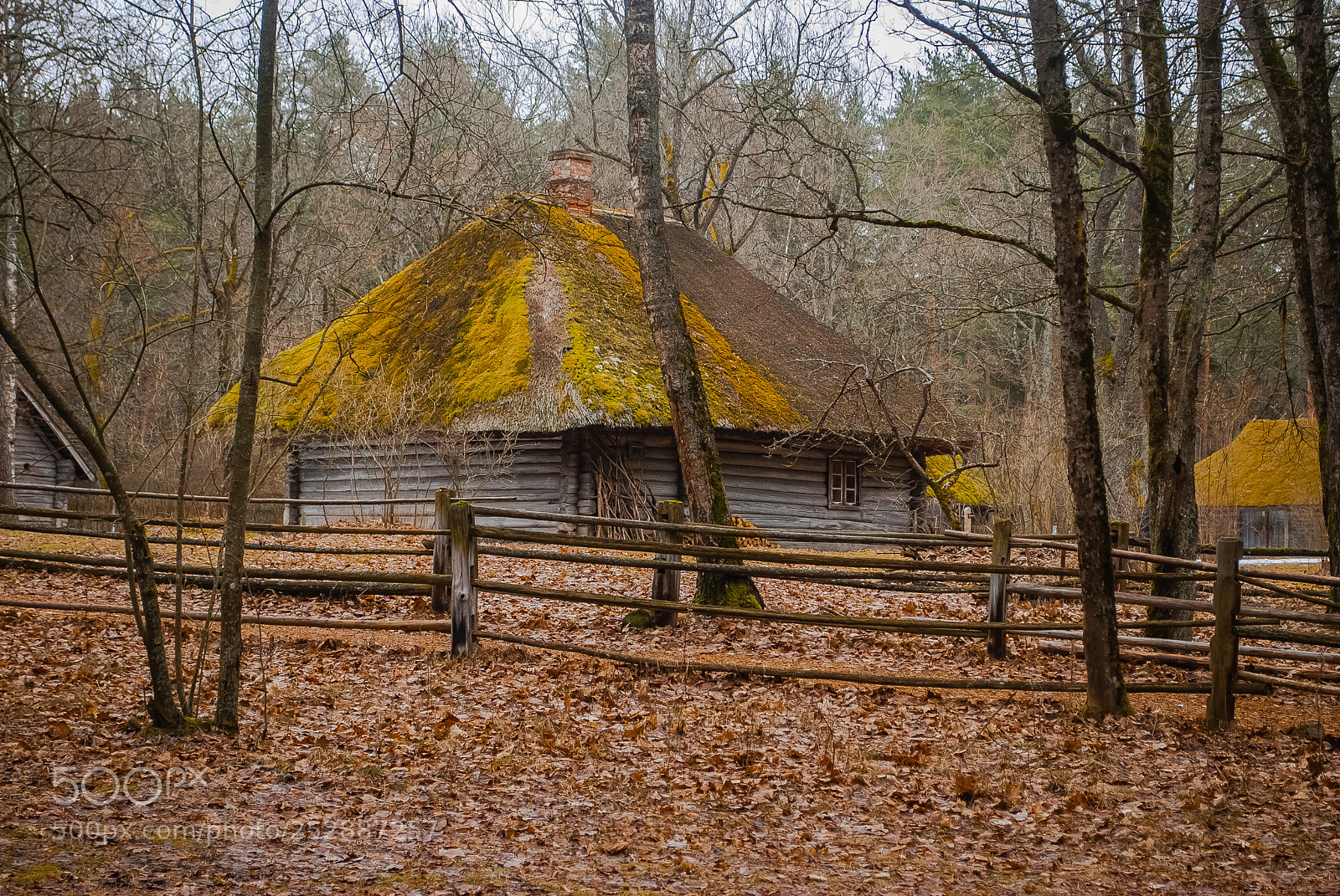 Nikon D60 sample photo. в Этнографическом музее photography