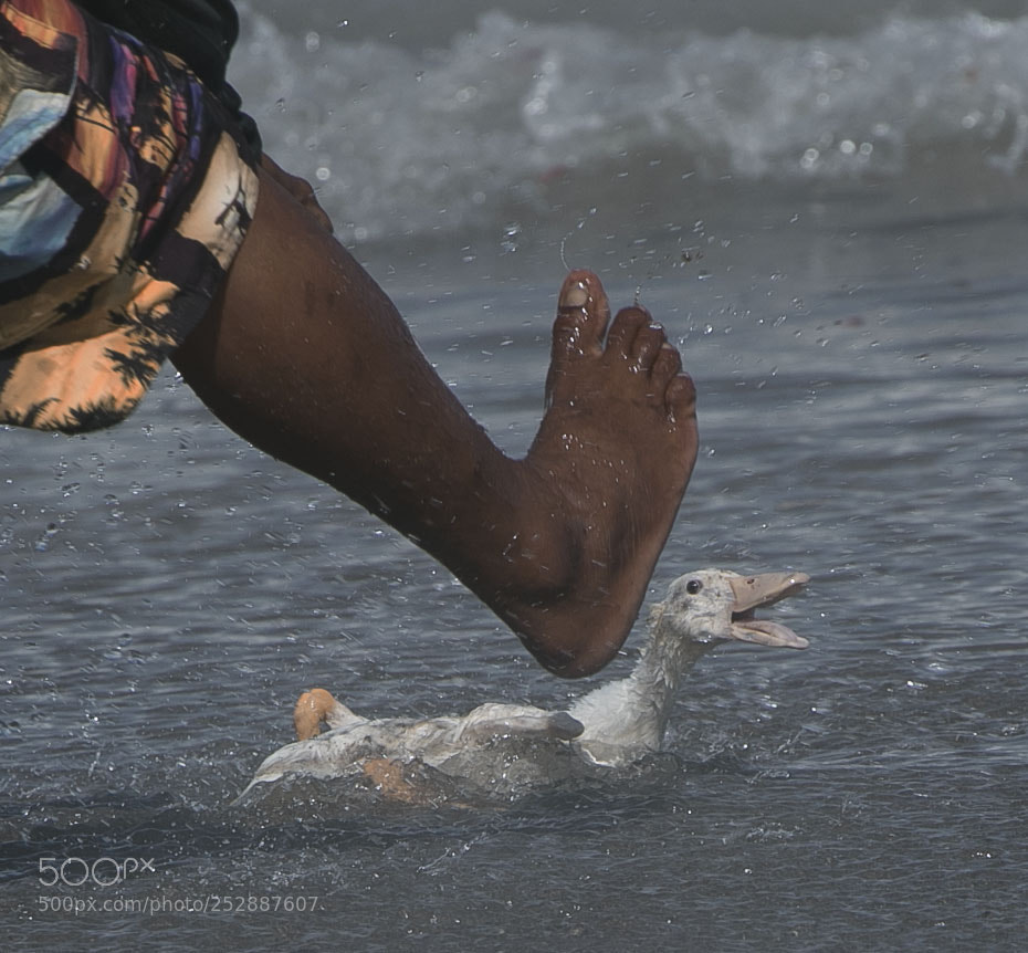Canon EOS-1D X Mark II sample photo. Duck foot photography
