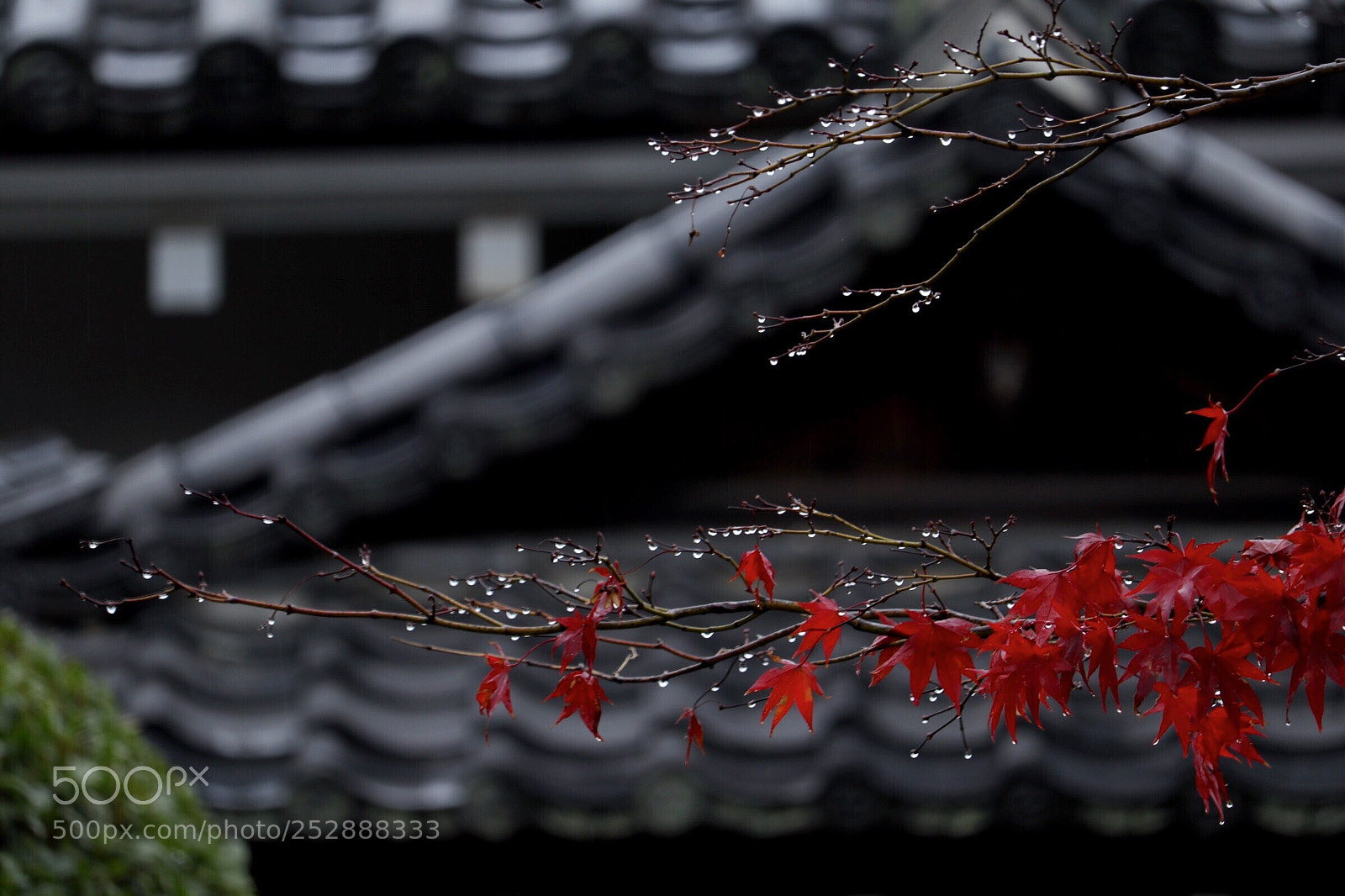 Canon EOS M6 sample photo. Canon eos m6 japan photography