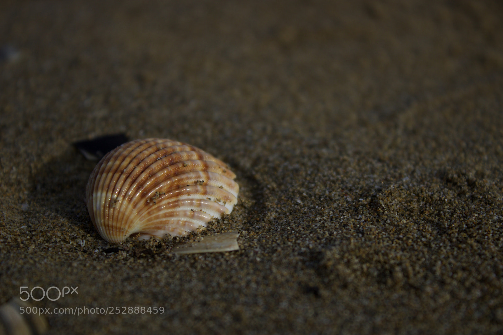 Canon EOS 760D (EOS Rebel T6s / EOS 8000D) sample photo. Sea moment photography