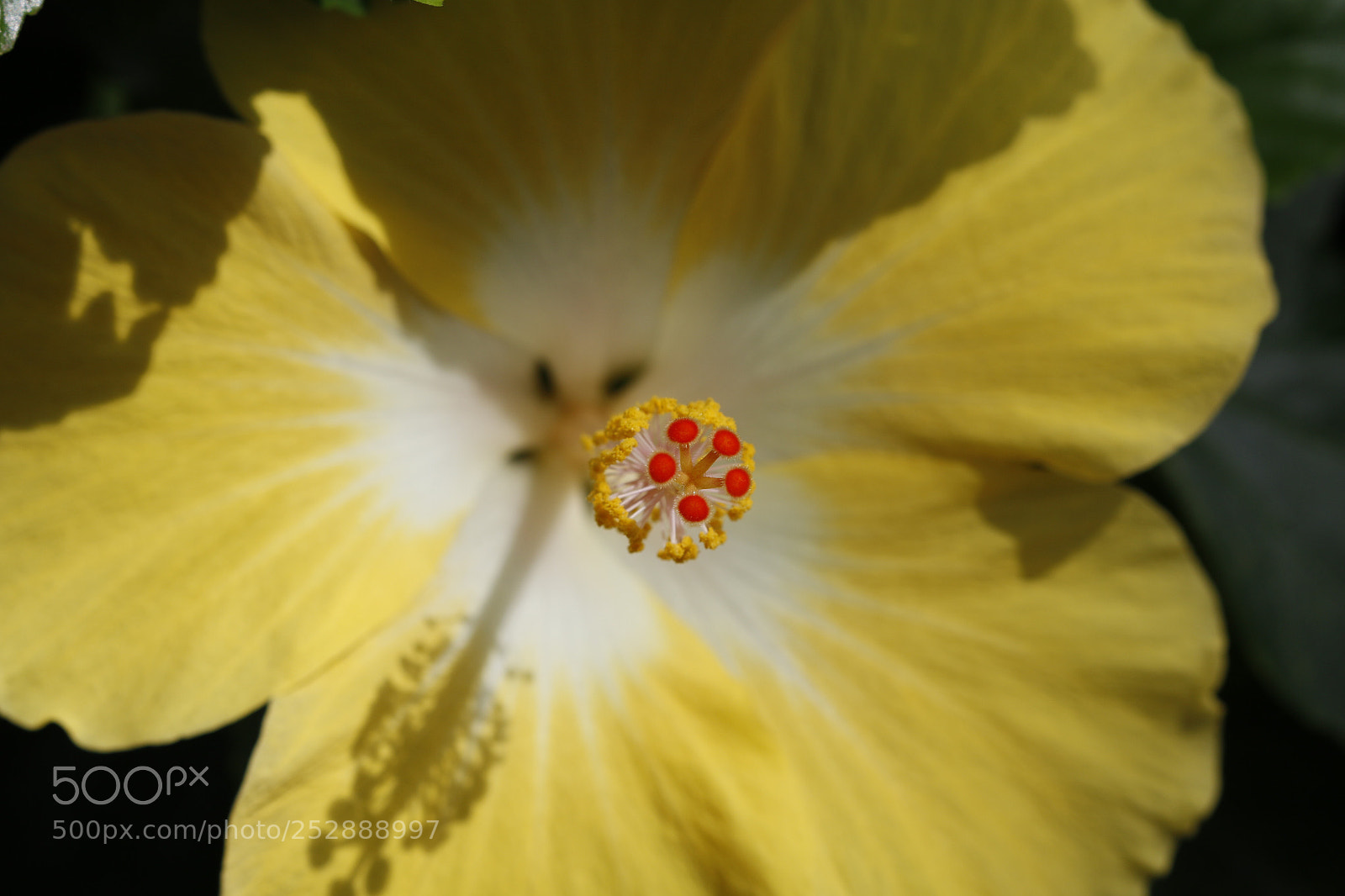 Canon EOS 70D sample photo. Untitled photography