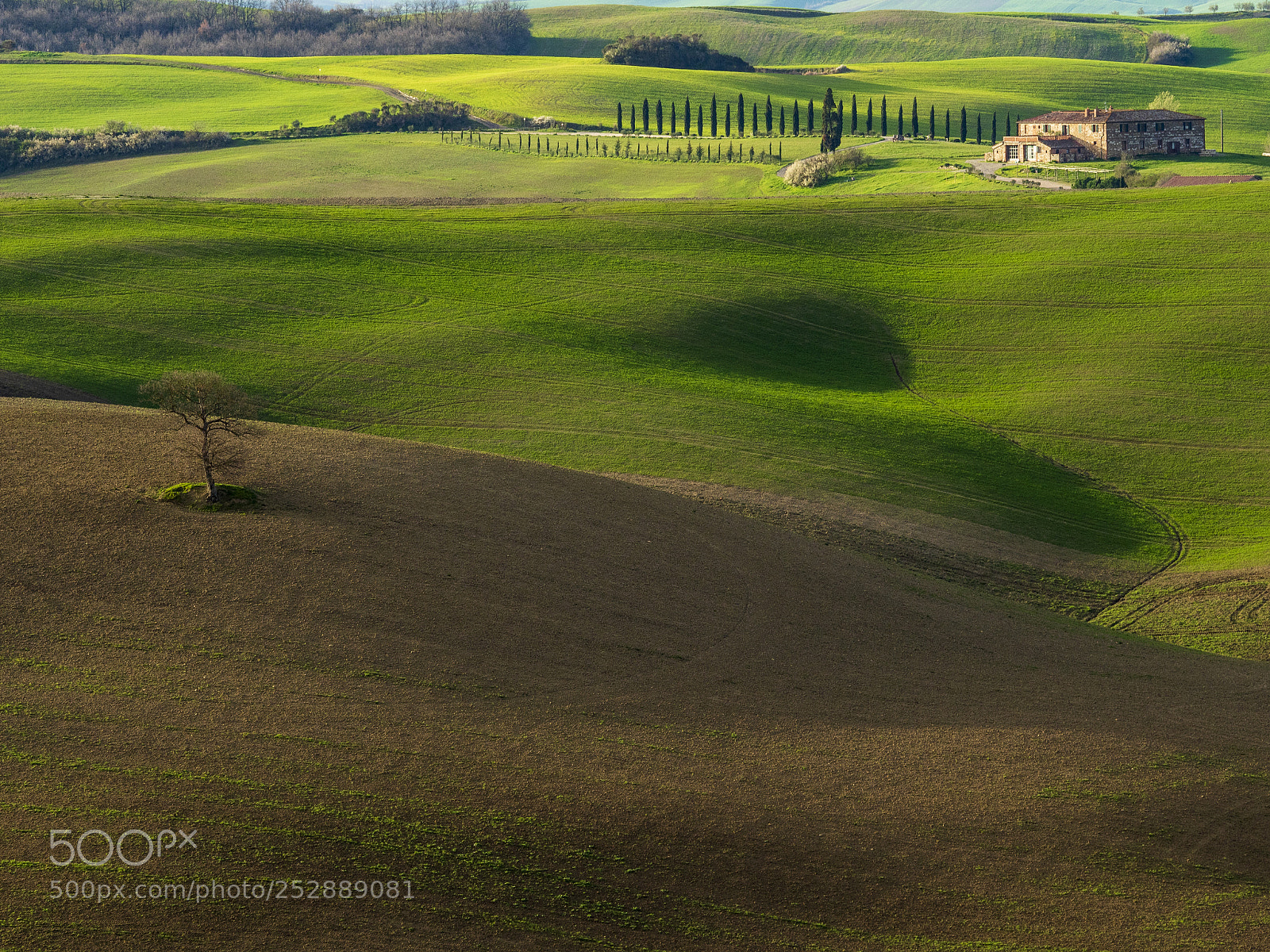 Olympus OM-D E-M1 Mark II sample photo. Il rigo photography