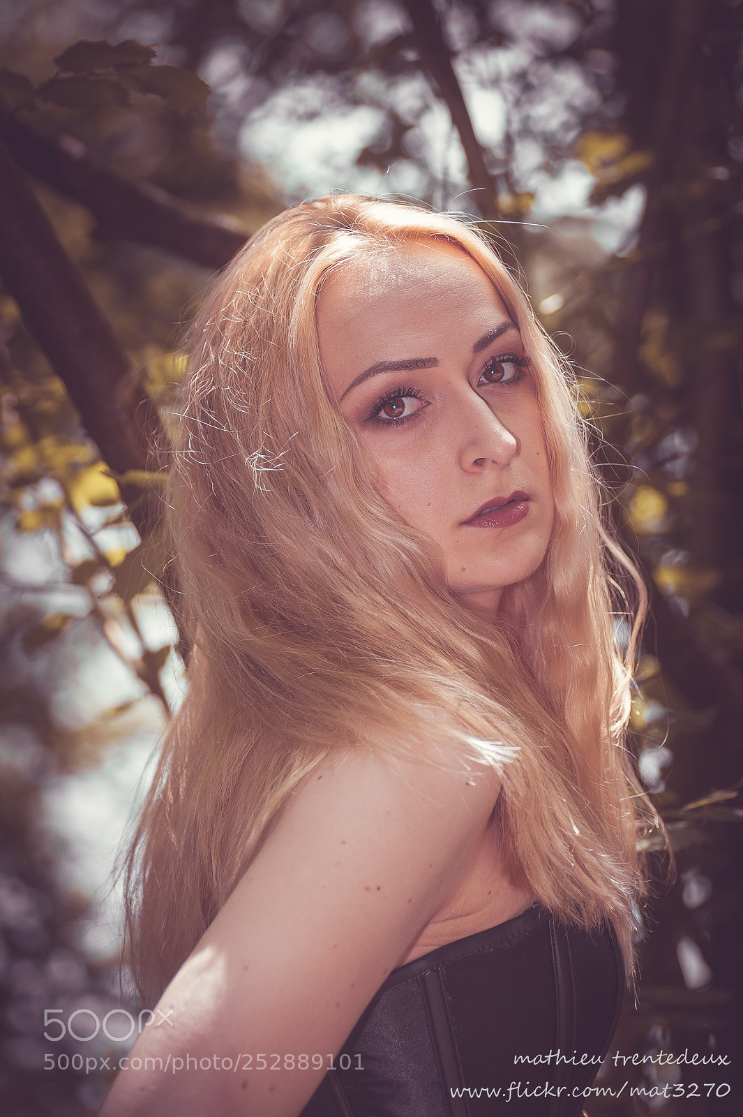 Nikon D700 sample photo. Armandine photography