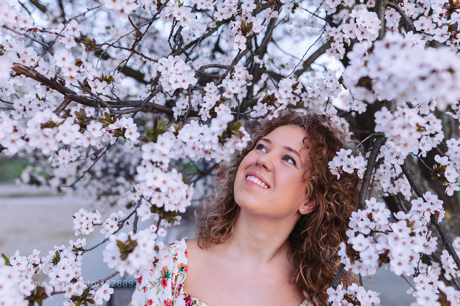 Canon EOS-1D Mark III sample photo. Girl near cherry tree photography