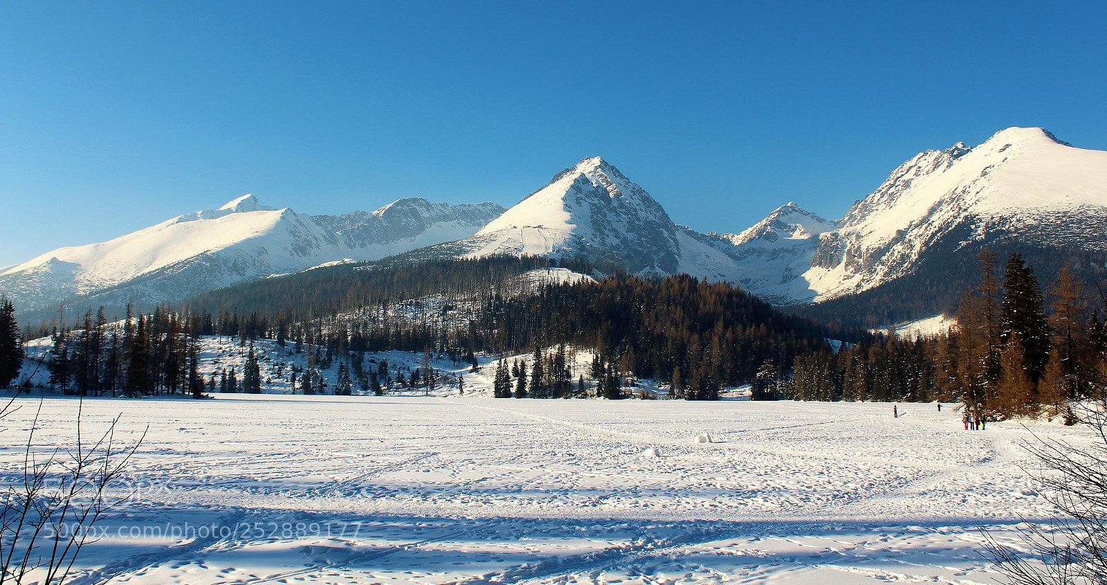 Canon EOS 1300D (EOS Rebel T6 / EOS Kiss X80) sample photo. Slovakia 2018 - the photography