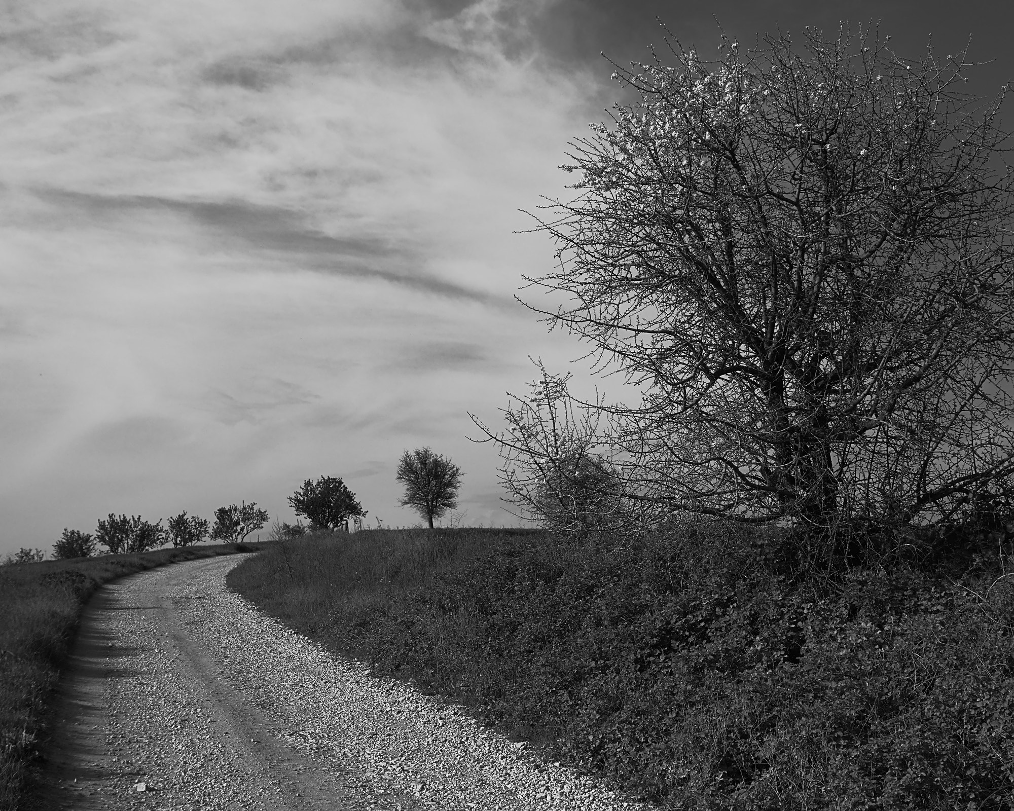Olympus PEN E-PM2 sample photo. Unpawed bw photography