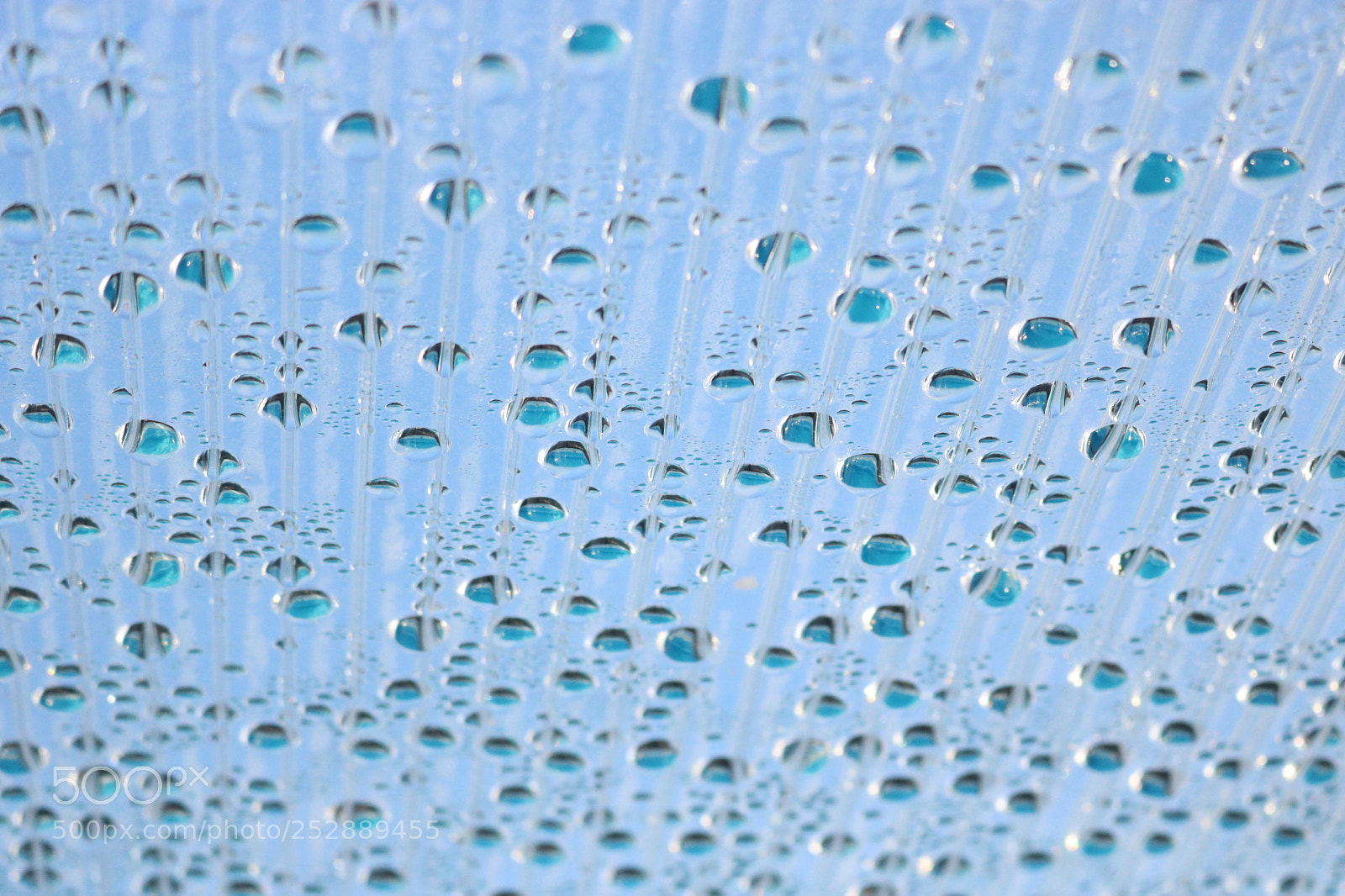 Canon EOS 750D (EOS Rebel T6i / EOS Kiss X8i) sample photo. Blue drops photography