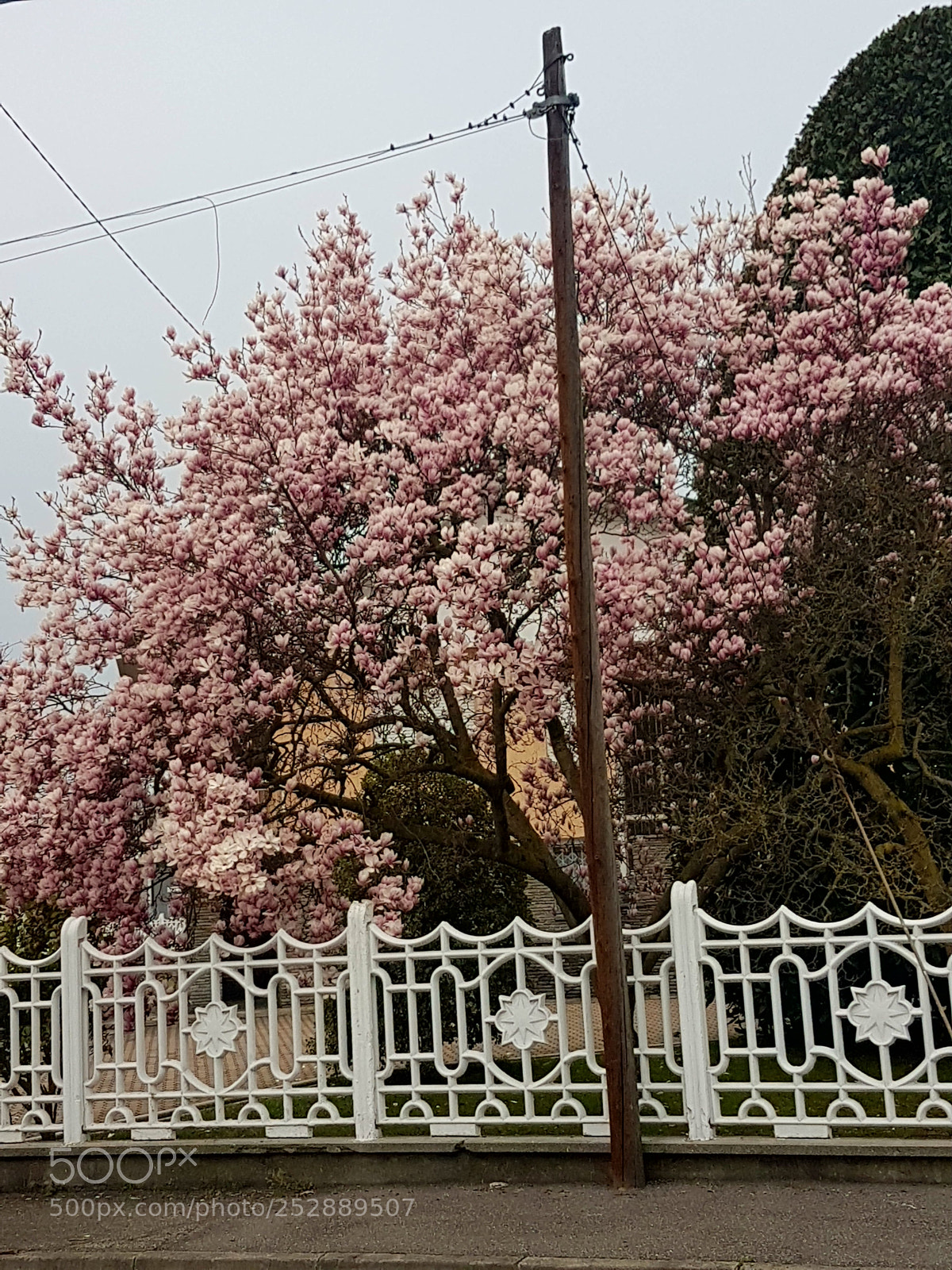 Samsung Galaxy S7 Edge sample photo. Spring photography