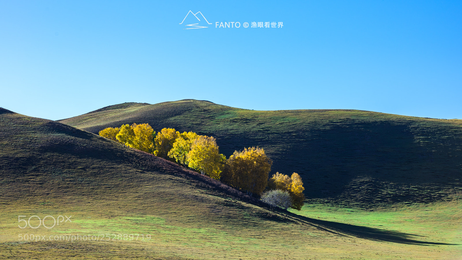 Nikon D810 sample photo. Pc壁纸 photography