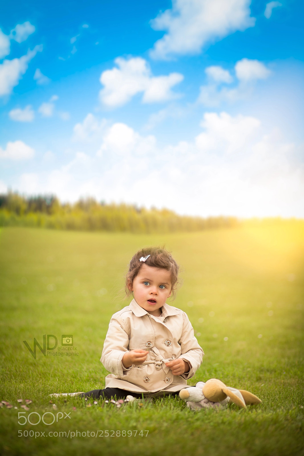 Canon EOS 5D Mark IV sample photo. Mlle b vs wild photography