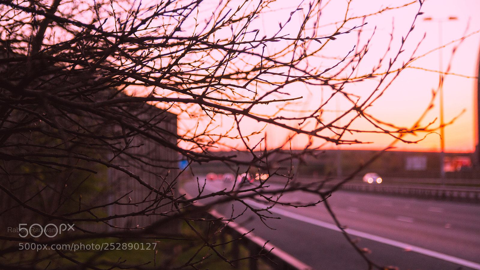 Canon EOS 70D sample photo. Untitled photography
