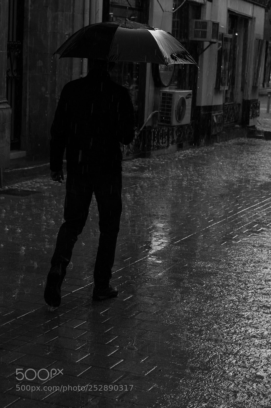 Nikon D90 sample photo. Rain ii photography