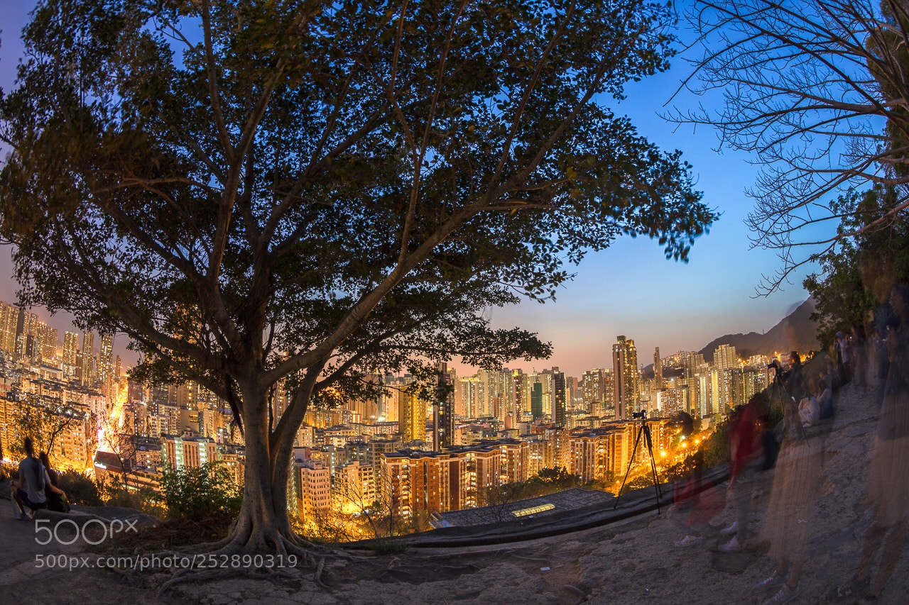 Canon EOS 5DS sample photo. Untitled photography