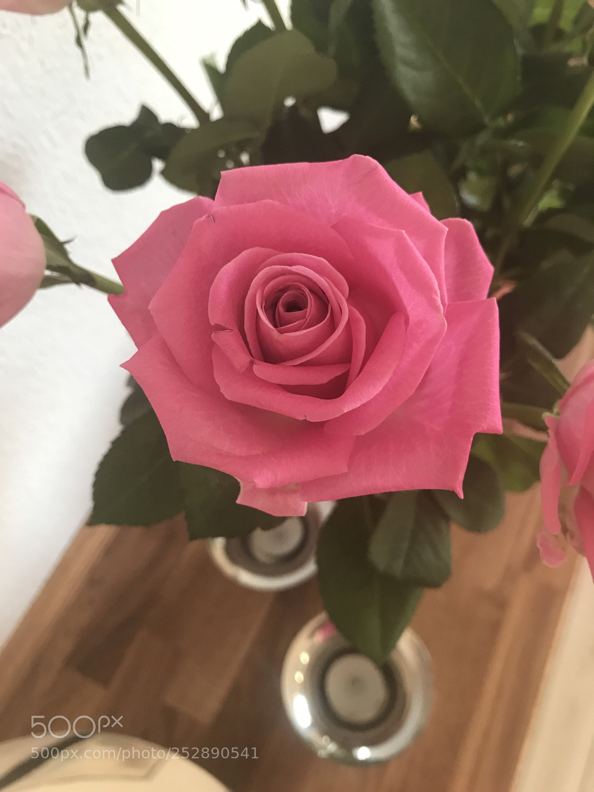 Apple iPhone 7 sample photo. Beautiful pink photography