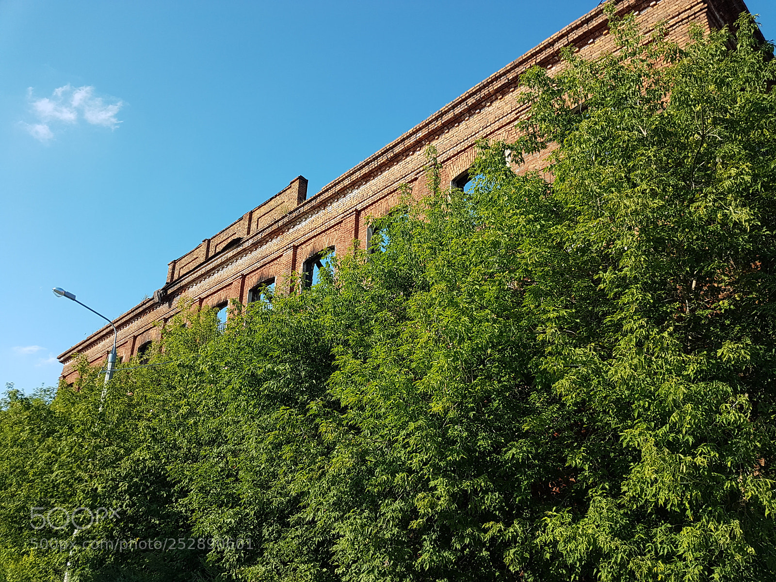 Samsung Galaxy S7 Edge sample photo. Abandoned factory photography