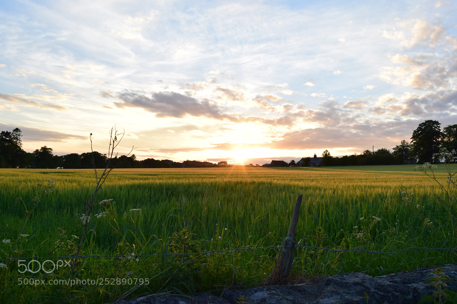 Nikon D5300 sample photo. Skene sunset photography