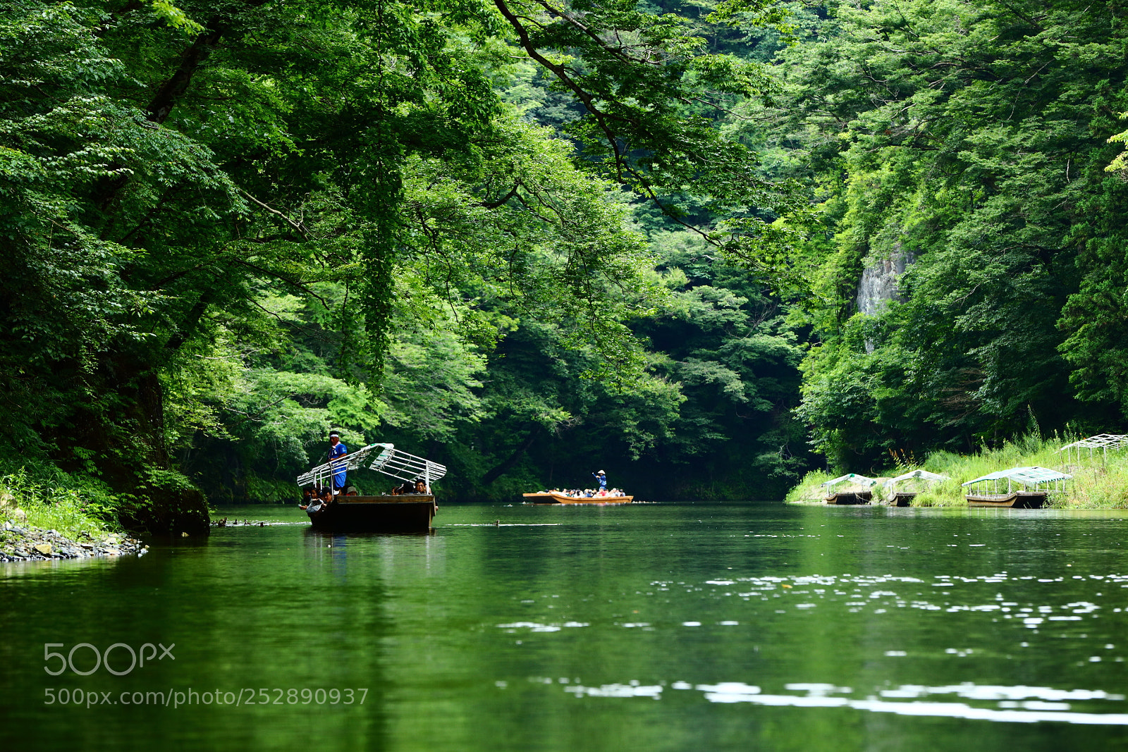 Canon EF 70-200mm F2.8L IS II USM sample photo. Green flow photography