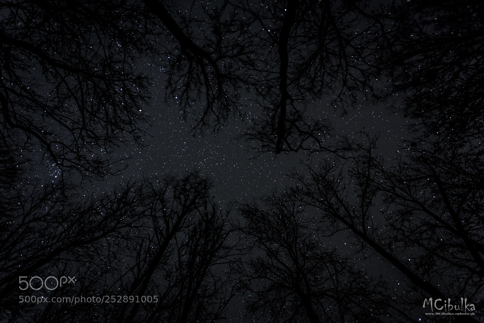 Canon EOS 6D sample photo. Under the stars photography