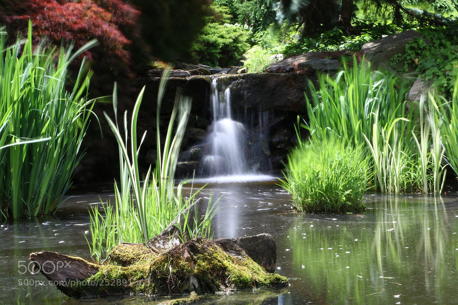 Canon EOS 70D sample photo. Angelo iacovella - amateur photography