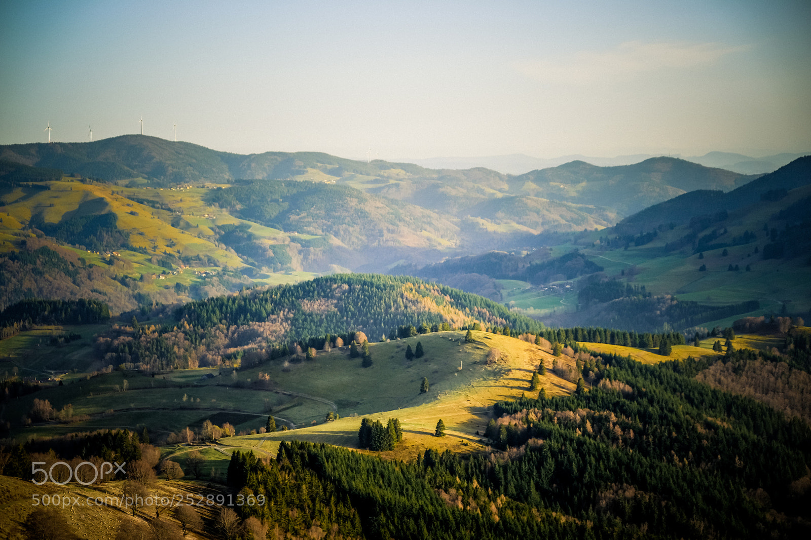 Fujifilm X-T2 sample photo. Black forest photography