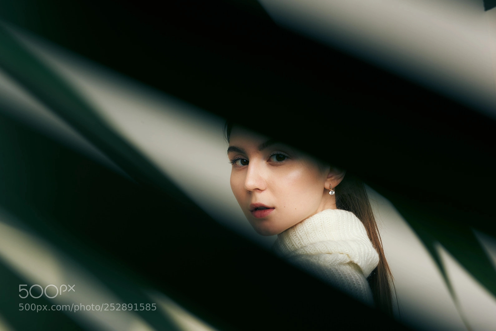Nikon D810 sample photo. Nastiy photography