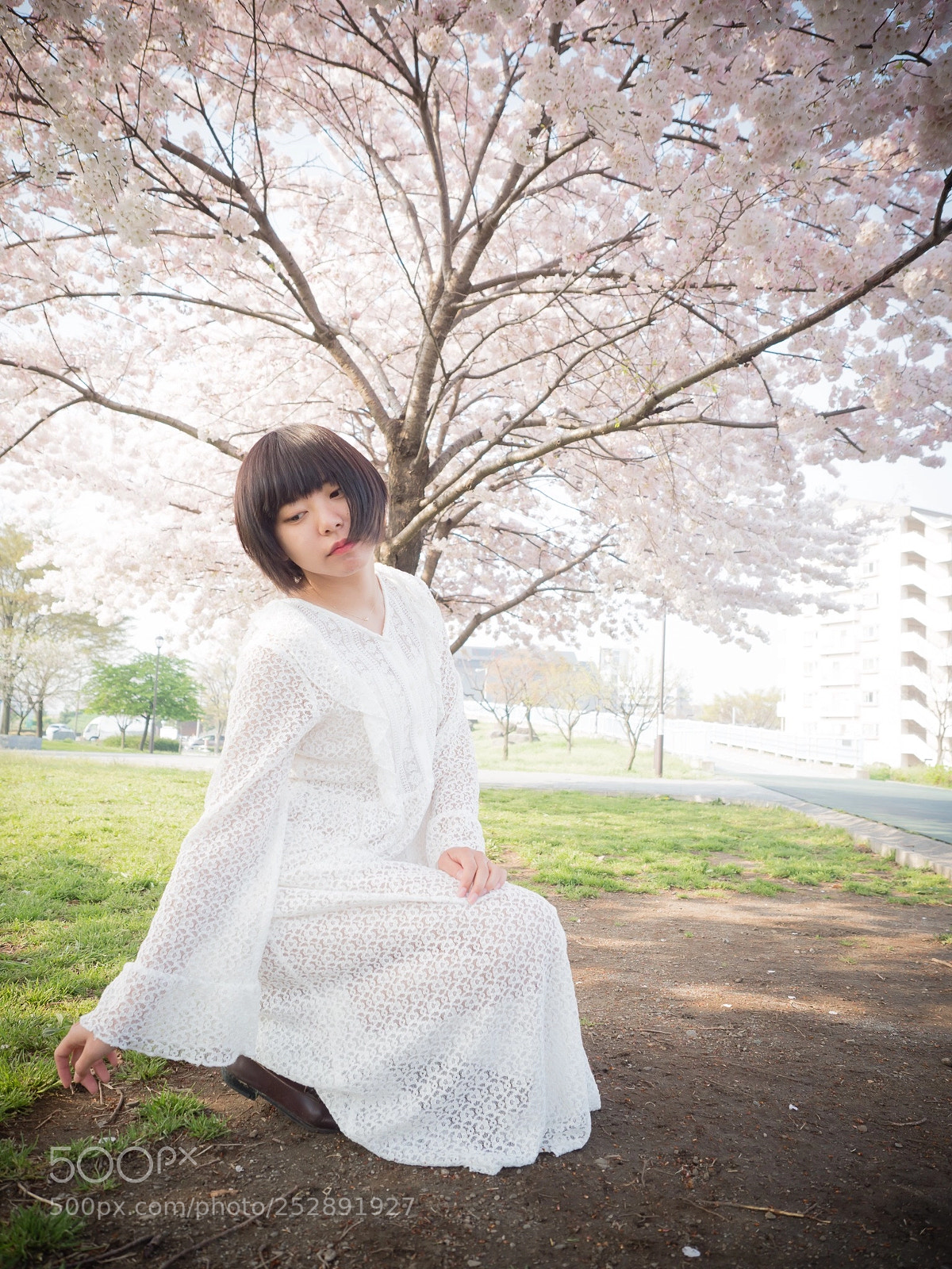 Olympus OM-D E-M1 Mark II sample photo. Cherry blossoms  photography
