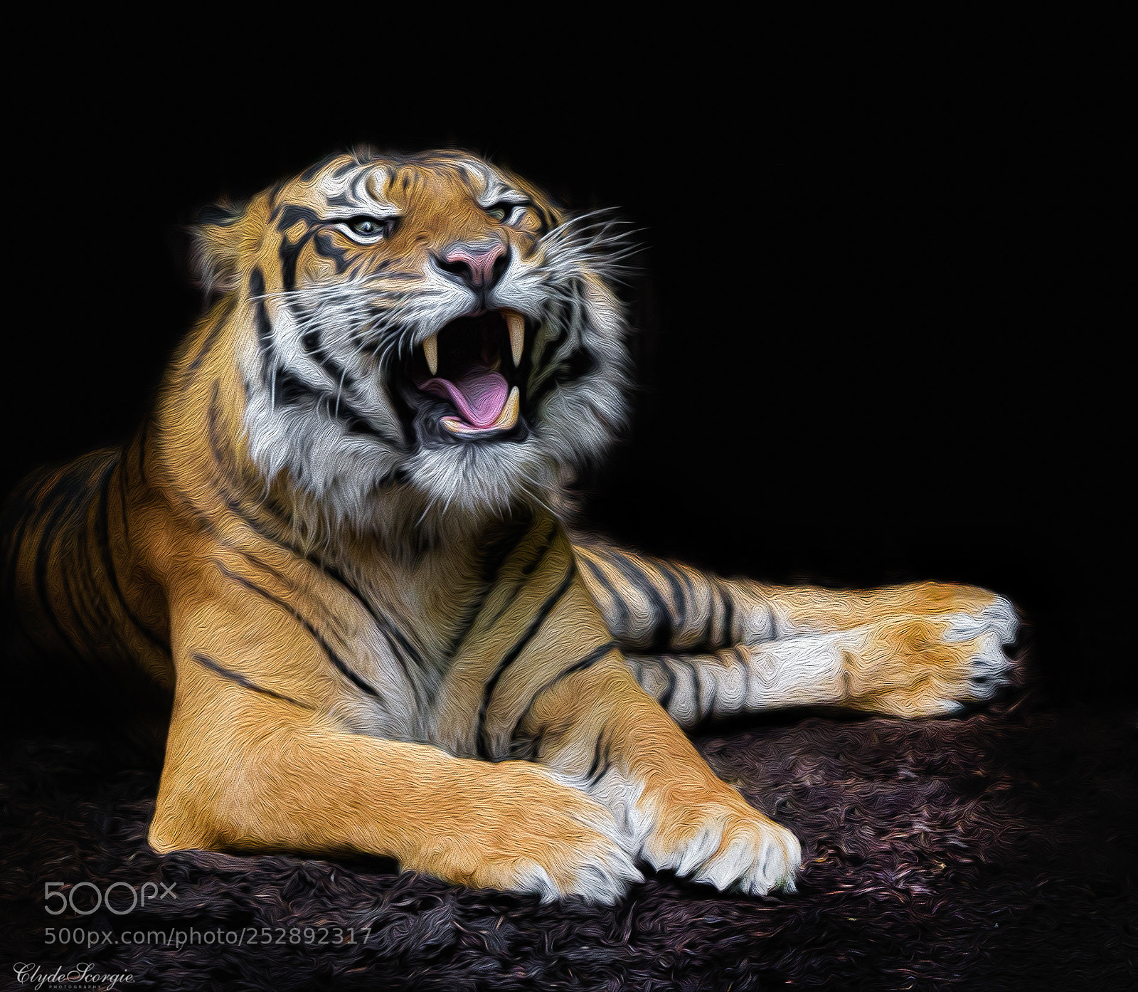 Nikon D810 sample photo. Tiger photography