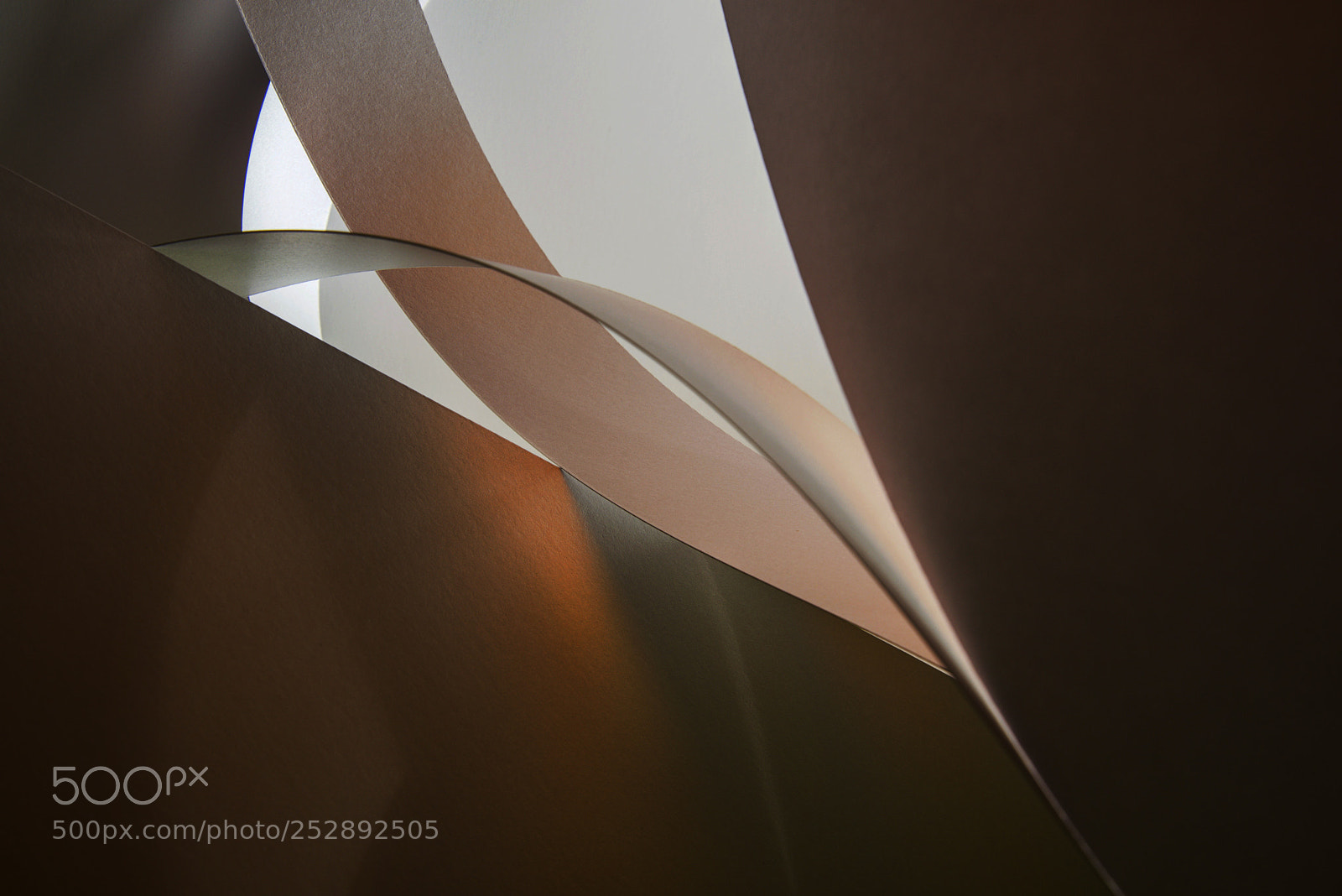 Nikon D810 sample photo. A touchy subject photography