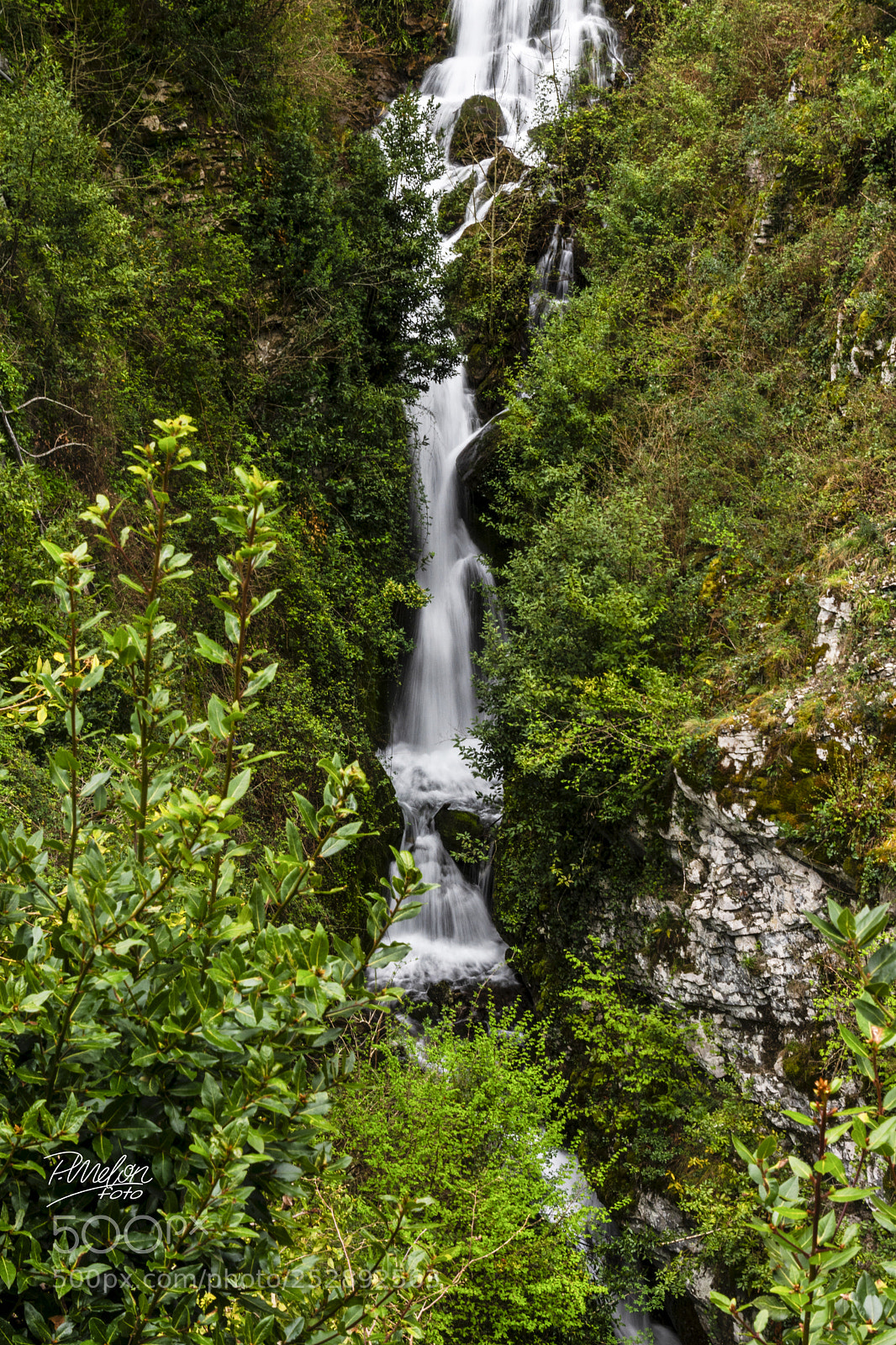 Sony SLT-A68 sample photo. Cascada photography